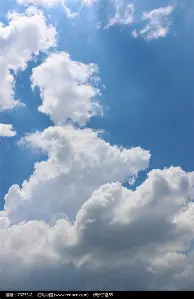 九游娱乐- 风云突变布莱顿冲刺阶段队长鼓劲风云突变波士顿凯尔特人今夜回应争议，孟菲斯灰熊强势反弹备战德国杯看傻球迷